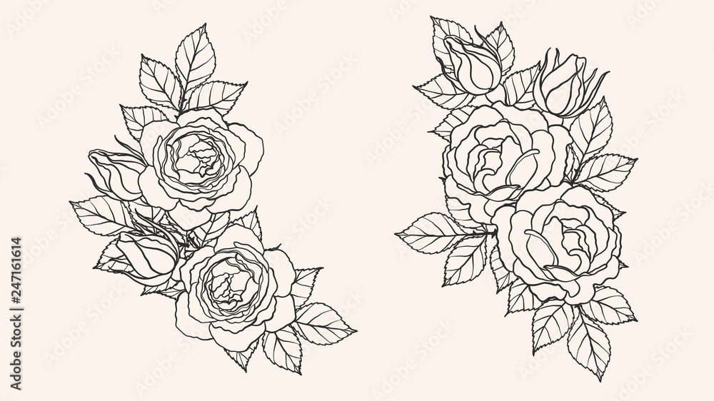 Vettoriale Stock Rose ornament vector by hand drawing.Beautiful flower on  brown background.Blaze rose vector art highly detailed in line art  style.Flower tattoo for paint or pattern. | Adobe Stock