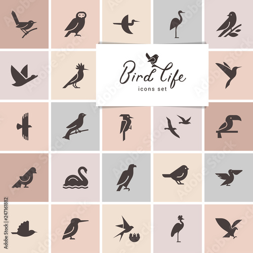 Birds icon set. Logotype or brand for company. Web site isolated icon set.