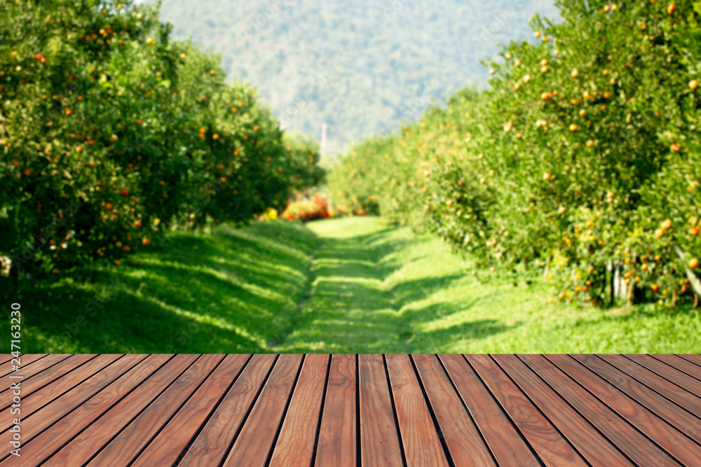 Wood top table with orange farm background.Can be used display or montage your products. Wood top table with orange farm background.Can be used display or montage your products.
