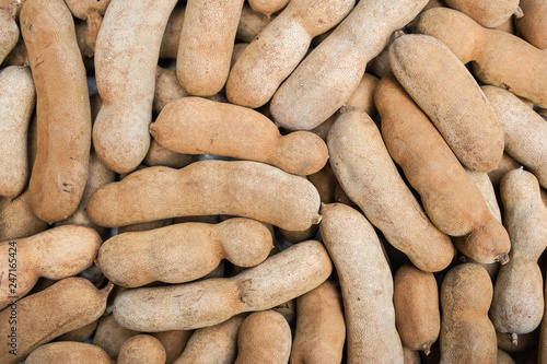 Group of ripe tamarind pods