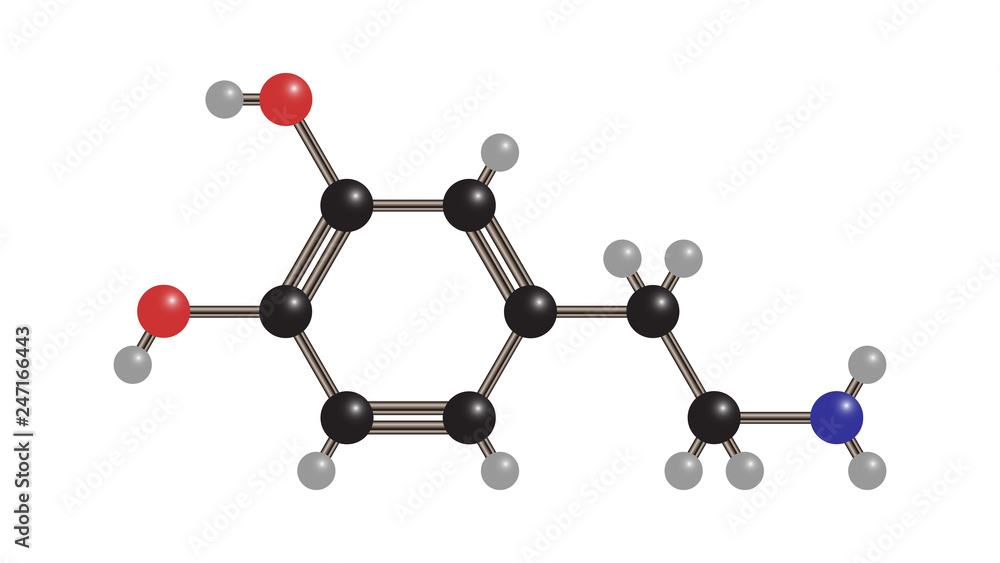 Structure of a dopamine molecule.