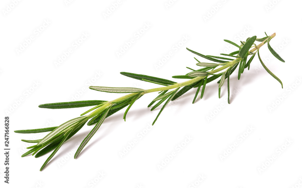 Rosemary