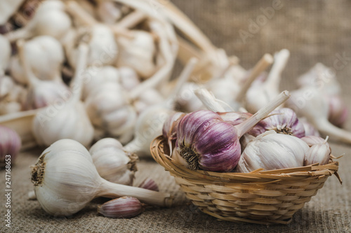 Bulbs and cloves of natural organic garlic on a linen mat and in a homemade basket  selective focus