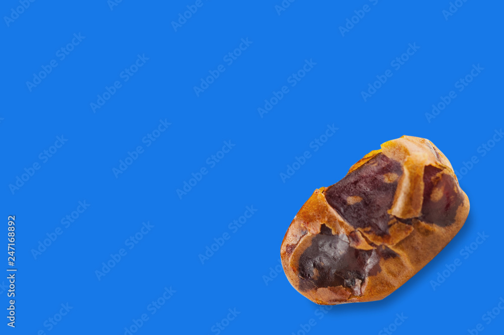 Whole brown dried date fruit on blue background with copy space for your text Whole brown dried date fruit on blue background with copy space for your text