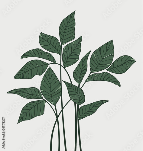 Vector illustration Natural background with green leaves. Fresh green leaves