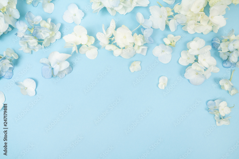 White and Blue Hydrangea Flower Background Floral Flatlay White and Blue Hydrangea Flower Background Floral Flatlay