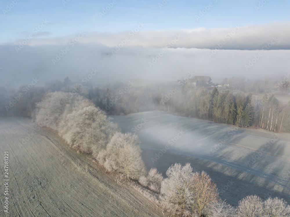 Aerial view of forest underneath fog. Cold winter morning in Switzerland.