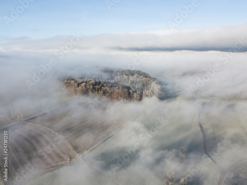 Aerial view of forest in form of a heart underneath fog. Cold winter morning in Switzerland. © Mario