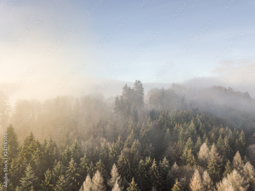 Aerial view of forest underneath fog. Cold winter morning in Switzerland. Aerial view of forest underneath fog. Cold winter morning in Switzerland.