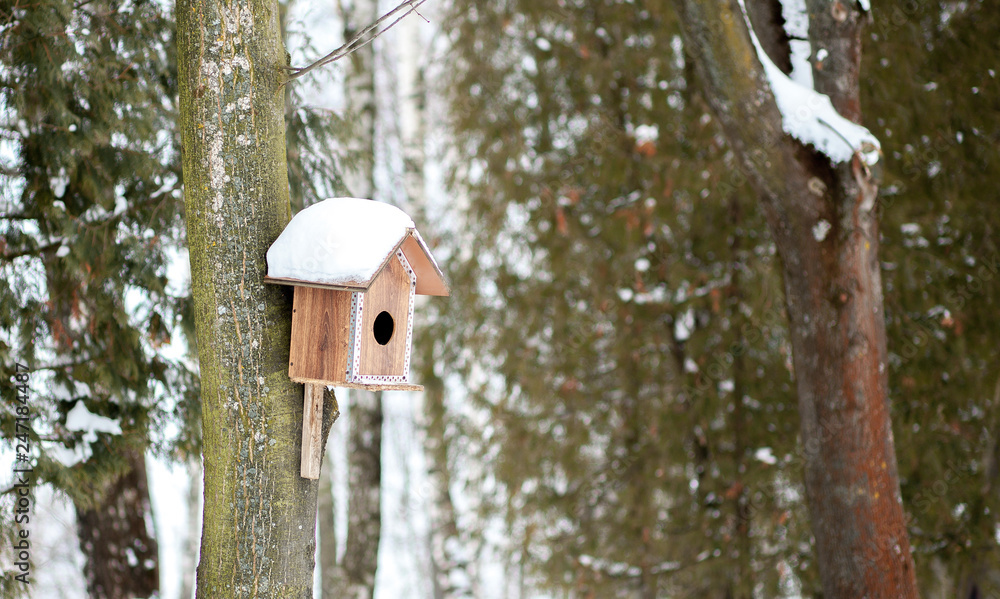 Feeder for birds in snow in winter forest Feeder for birds in snow in winter forest