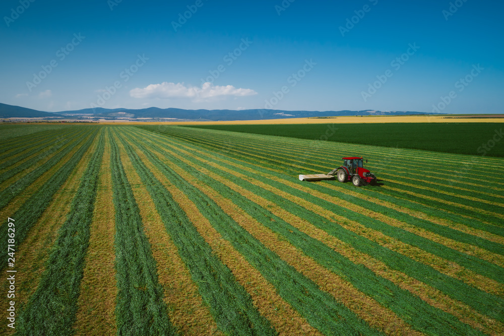Naklejka premium Tractor mowing green field