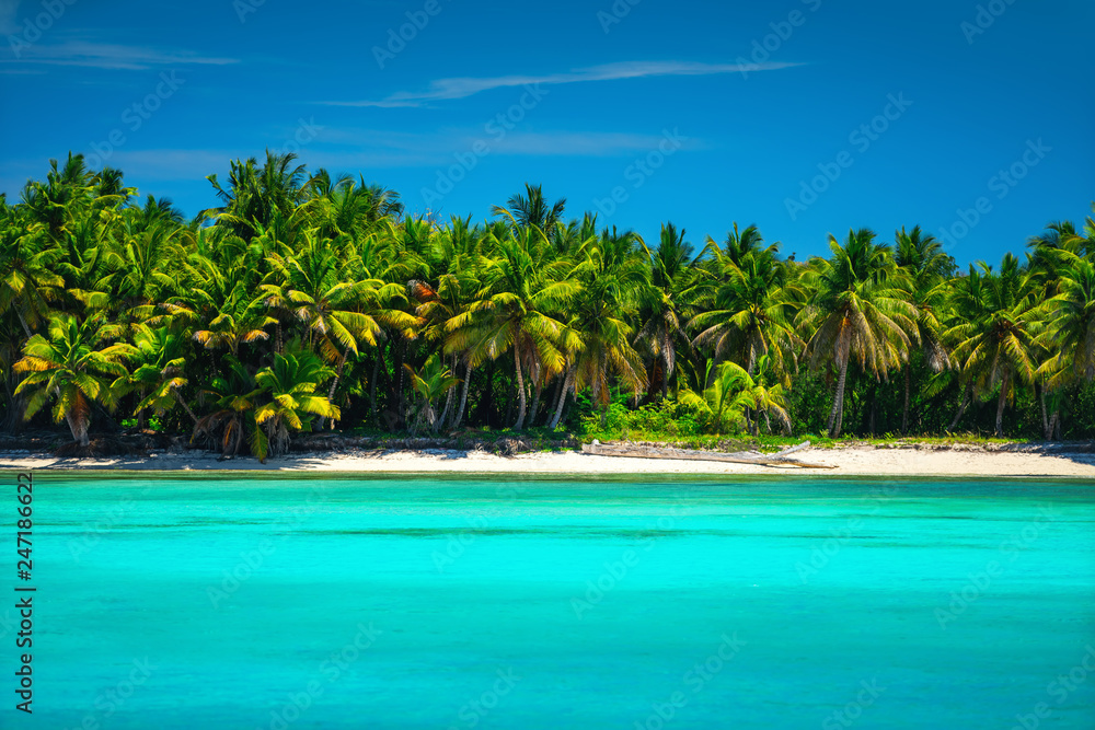 Obraz premium Exotic seascape and tropical beach in Punta Cana, Dominican Republic