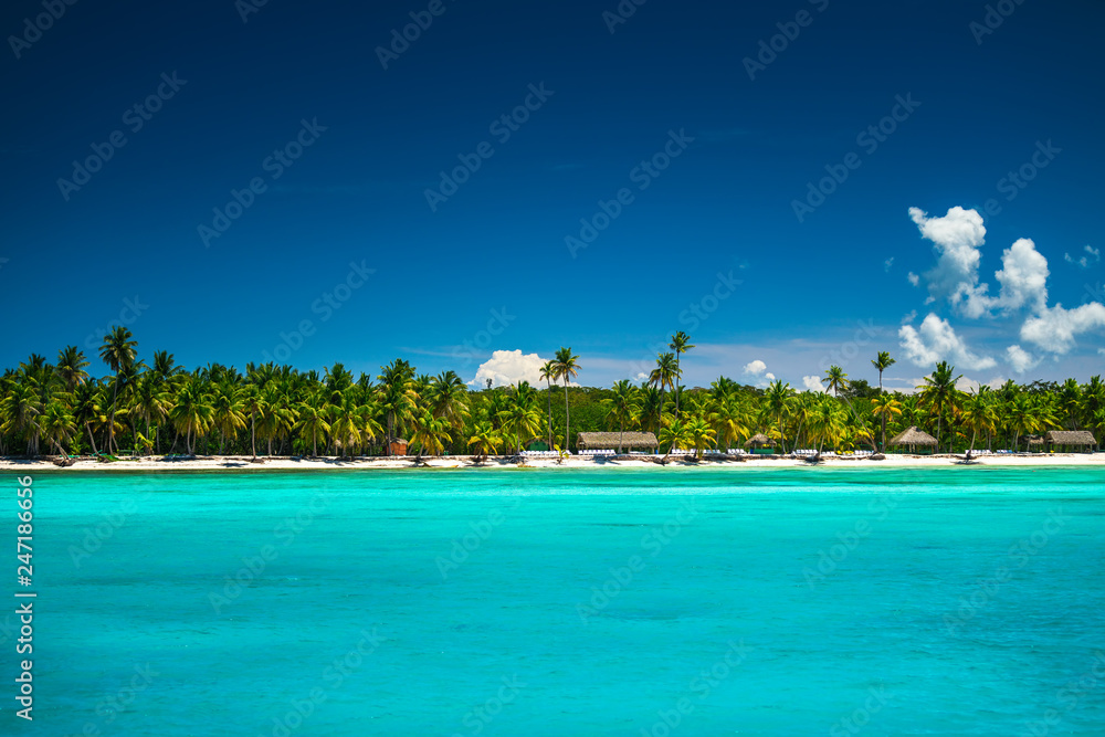 Palm and tropical beach in Punta Cana, Dominican Republic