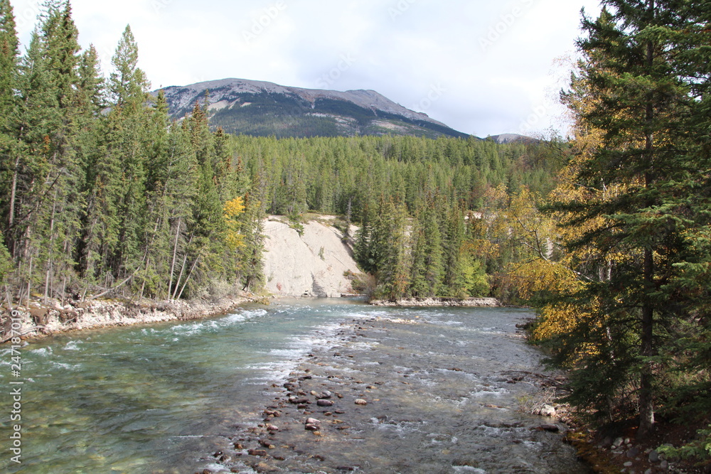 Beauty On The Maligne River, Jasper National Park, Alberta Beauty On The Maligne River, Jasper National Park, Alberta
