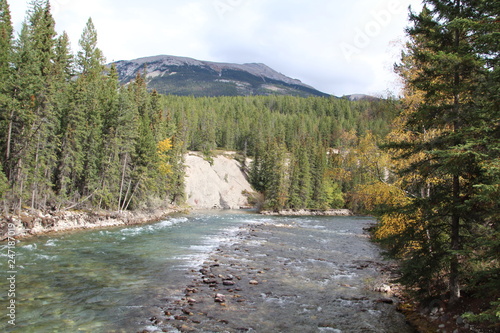 Beauty On The Maligne River, Jasper National Park, Alberta