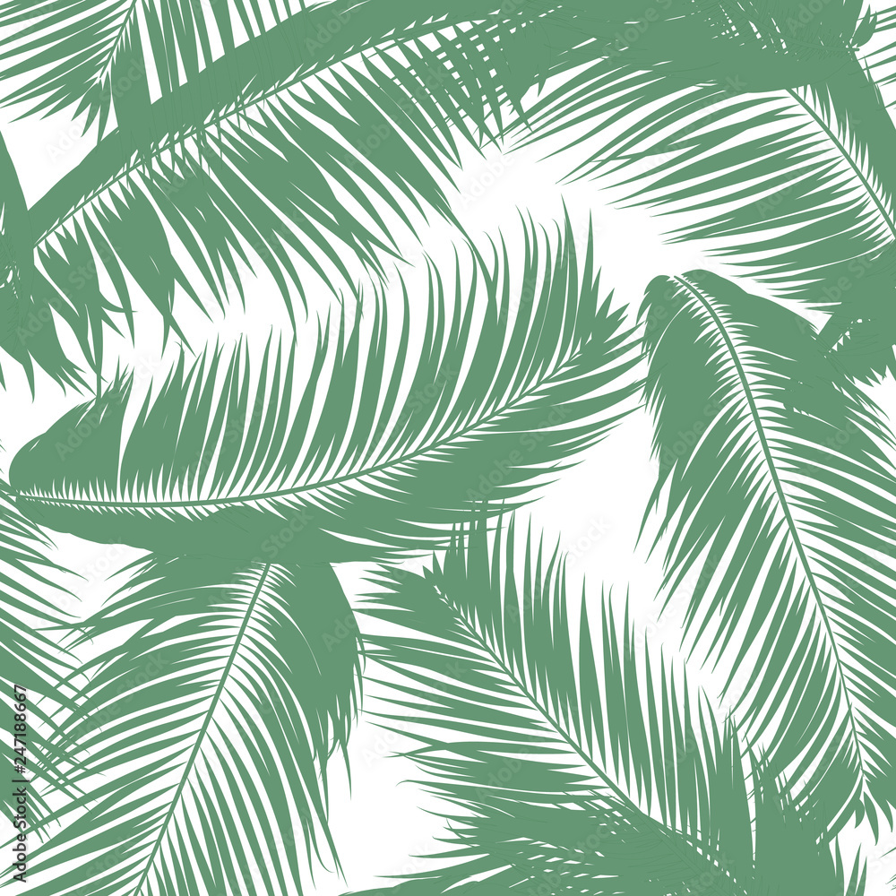 Fototapeta Vector Feathers. Tropical Seamless Pattern with Exotic Jungle Plants. Coconut Tree Leaf. Simple Summer Background. Illustration EPS 10. Vector Feathers Silhouettes or Hawaiian Leaves of Palm Tree.