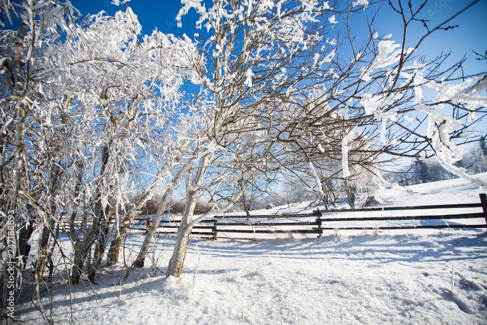 Winter landscape in dolnoslaskie region, Poland Winter landscape in dolnoslaskie region, Poland