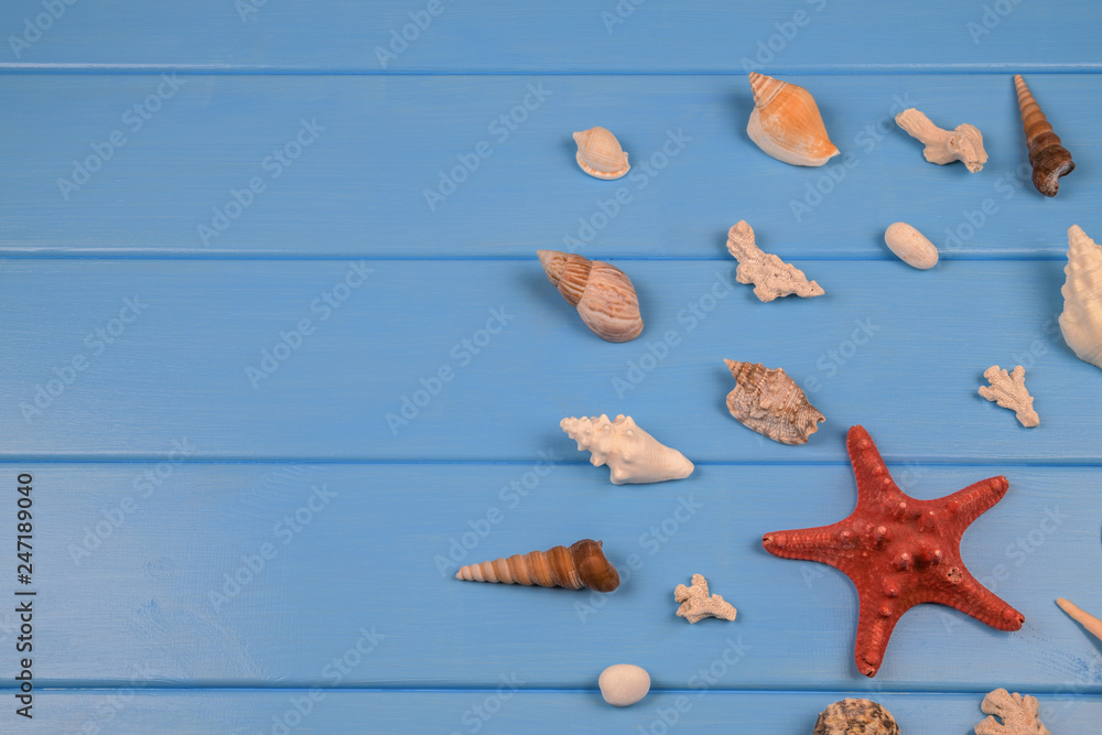 Travel concept background with seashells Travel concept background with seashells