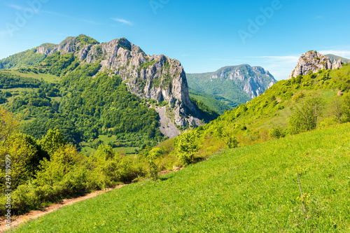 mountains of romania with steep cliffs above narrow valley. landscape with unusual land forms. beautiful springtime scenery. view from grassy hill