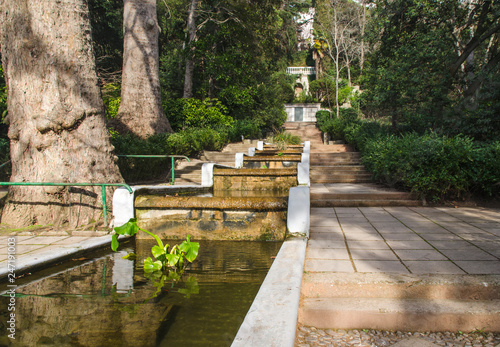 cascade and steps