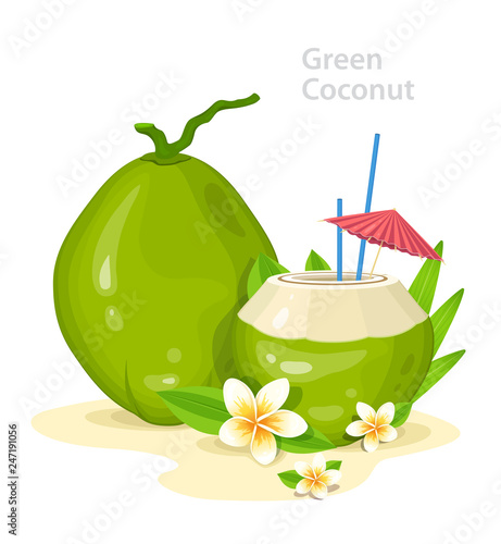 Green Young Coconuts. Fresh Coconut Cocktail with Plumeria Flowers, straws and Umbrella. Summer Time Vacation Attribute. Banner Design Concept with Place for Text. Vector Illustration