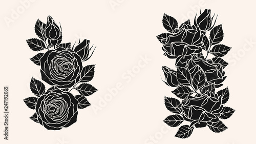 Rose ornament vector by hand drawing.Beautiful flower on brown background.Blaze rose vector art highly detailed in line art style.Flower tattoo for paint or pattern. © tuleedin