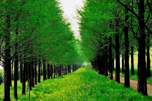 봄이 오는 소리