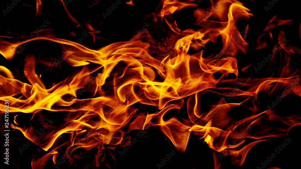 Fire flames on abstract art black background texture Fire flames on abstract art black background texture
