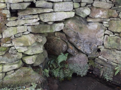 wishing well
