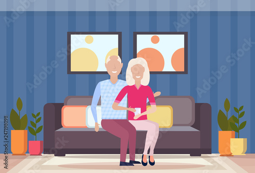 senior couple embracing sitting on couch happy grandparents lovely mature old man and woman in love modern living room interior full length flat horizontal