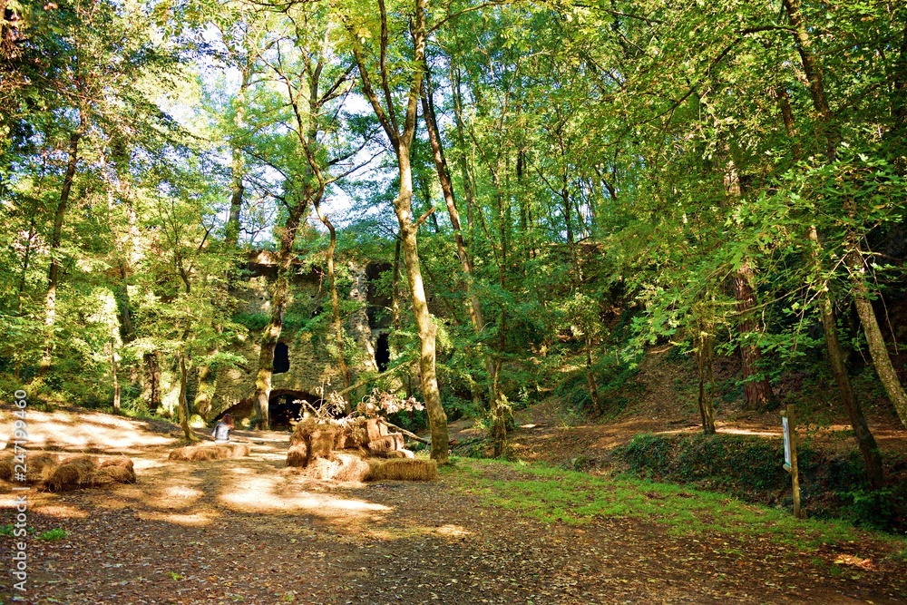 paesaggio naturale boschivo nei pressi di San Vincenzo a Torri, nel comune di Scandicci, in provincia di Firenze, Italia