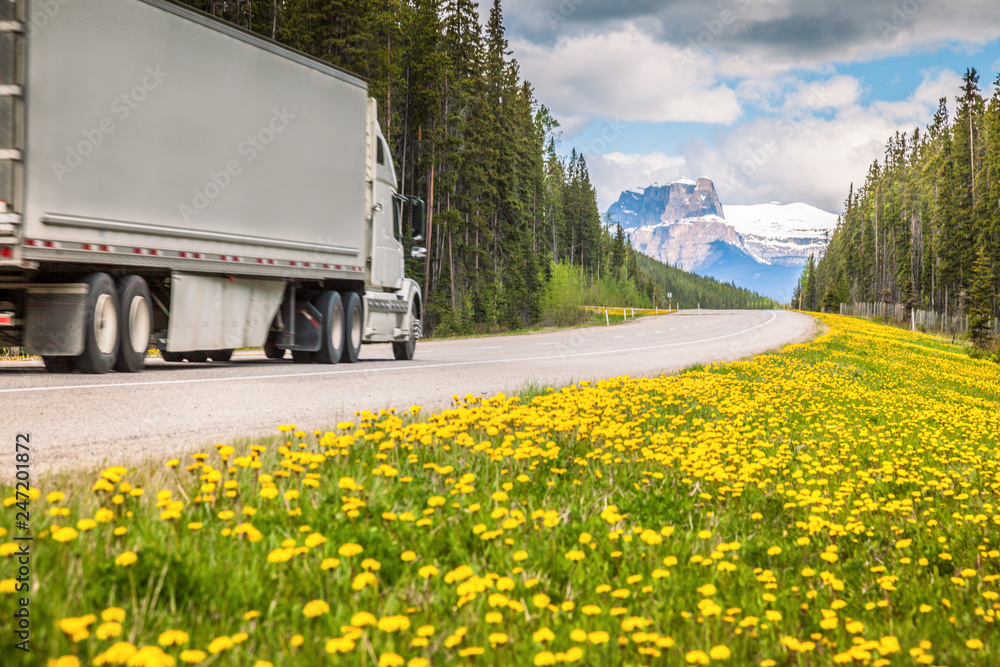 Highway in Jasper National Park