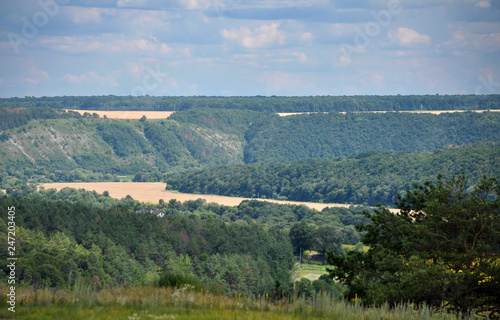 Summer panoramic landscape