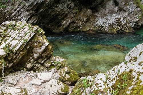 Vintgar gorge and river, near Bled lake, Slovenia