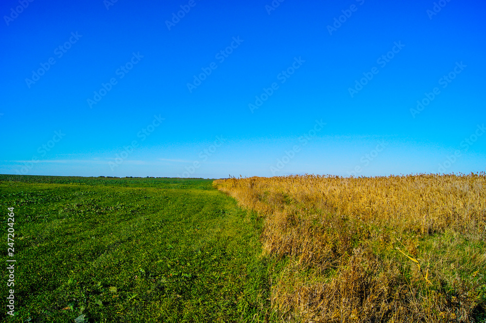 Fototapeta premium SONY DSC