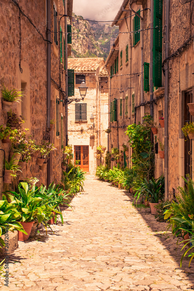 Valldemossa beautiful streets decorated in plant pots and colorful flowers