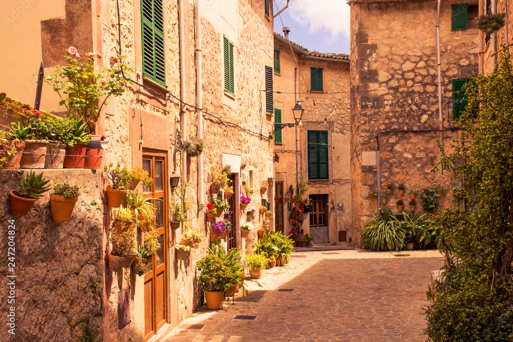 Valldemossa beautiful streets decorated in plant pots and colorful flowers