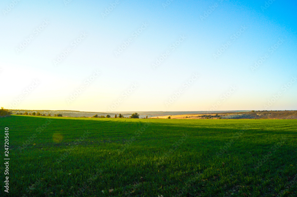 Obraz premium SONY DSC