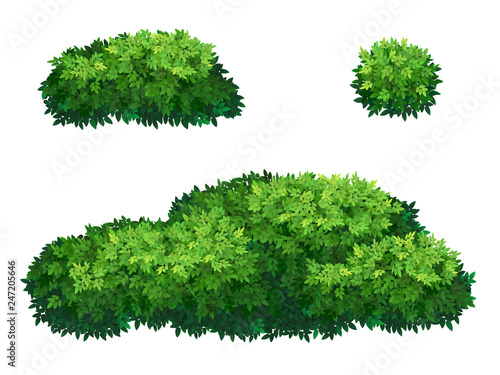 Leinwand Poster Set of green bush and tree crown of different shapes
