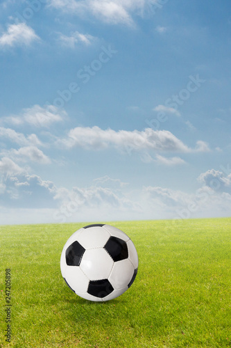 Fußball liegt auf dem Rasen im Stadion © OFC Pictures