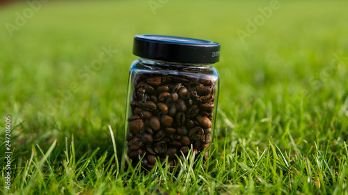 Coffee beans on a nice smooth background