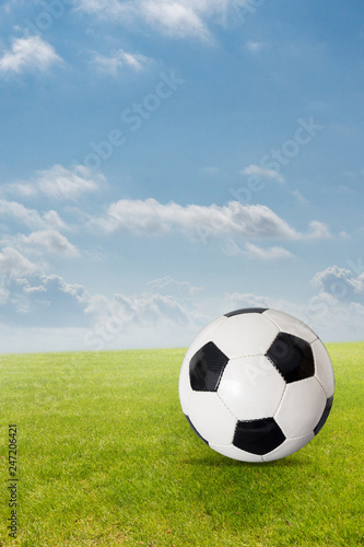 Fu  ball liegt auf dem Rasen im Stadion
