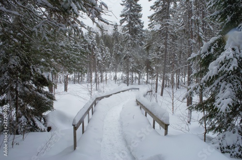 The beautiful view of Algonquin parks's landscape when you are snowshoeing during Winter Season © george