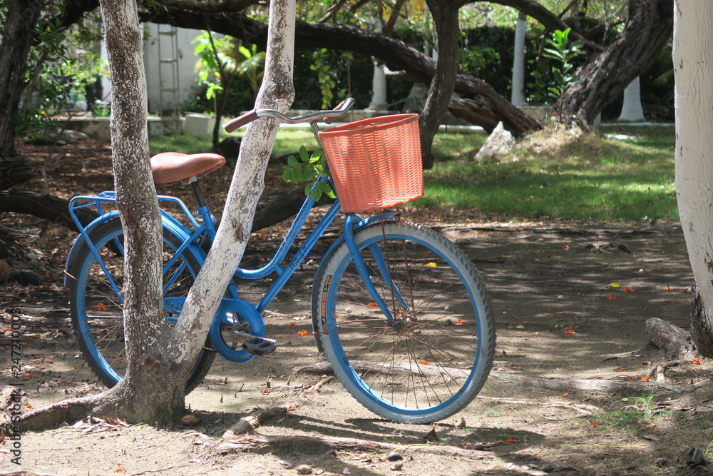 Blue Bicycle with red Basket in Isla Mujeres Mexico