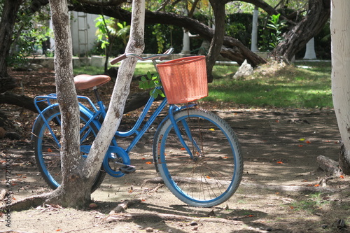 Blue Bicycle with red Basket in Isla Mujeres Mexico
