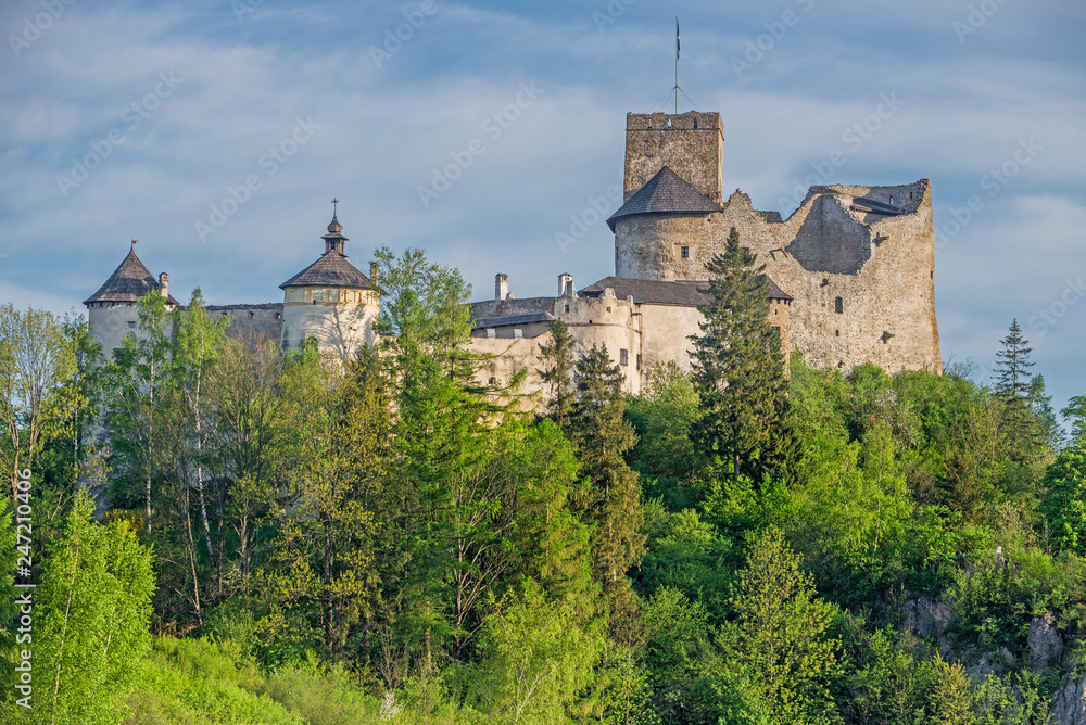 Zamek w Niedzicy.	