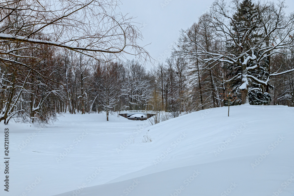 Winter snowy landscape. Bridge over the frozen pond. Snow-covered park on a cold winter day. Winter snowy landscape. Bridge over the frozen pond. Snow-covered park on a cold winter day.