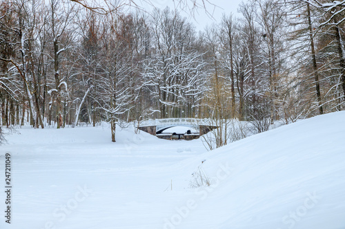 Winter snowy landscape. Bridge over the frozen pond. Snow-covered park on a cold winter day. © Vera