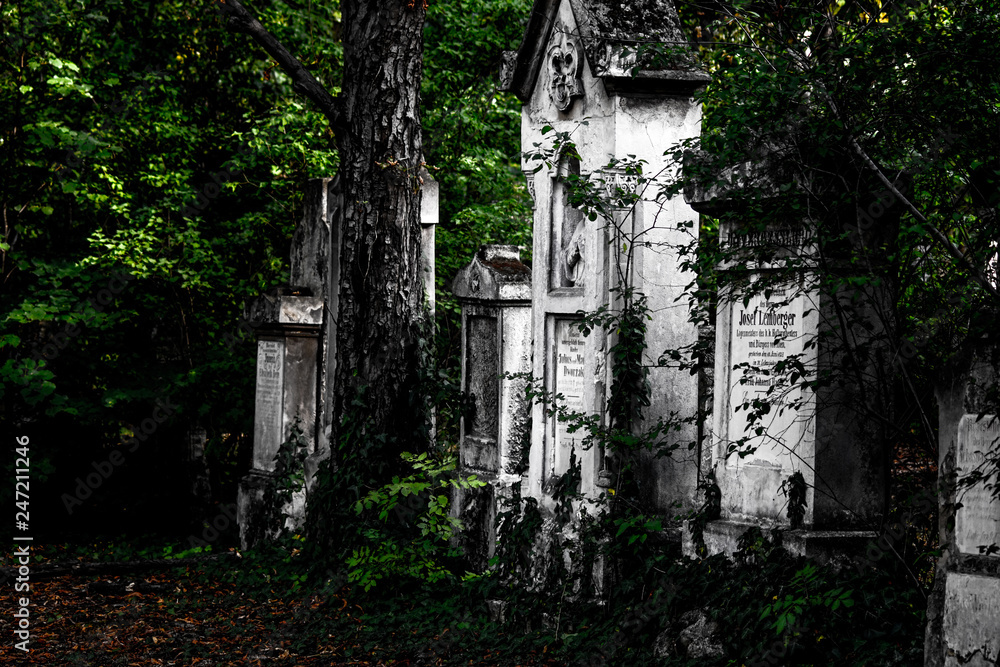 Naklejka premium Grave of the world