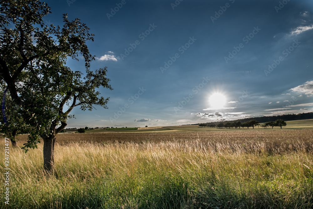 Schlösser seen landschaft sommer in badenwürtemberg Schlösser seen landschaft sommer in badenwürtemberg